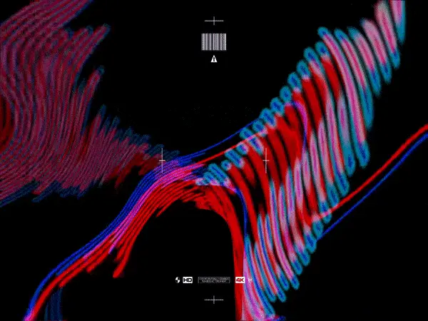 Tribal - KNGPAO x BLZA681