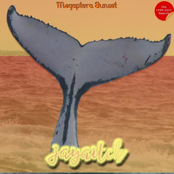 Megaptera Sunset (The 1998-2022 Rework)